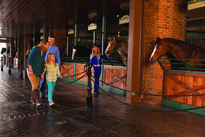Meeting the horses is one of the free things to do in Pigeon Forge.